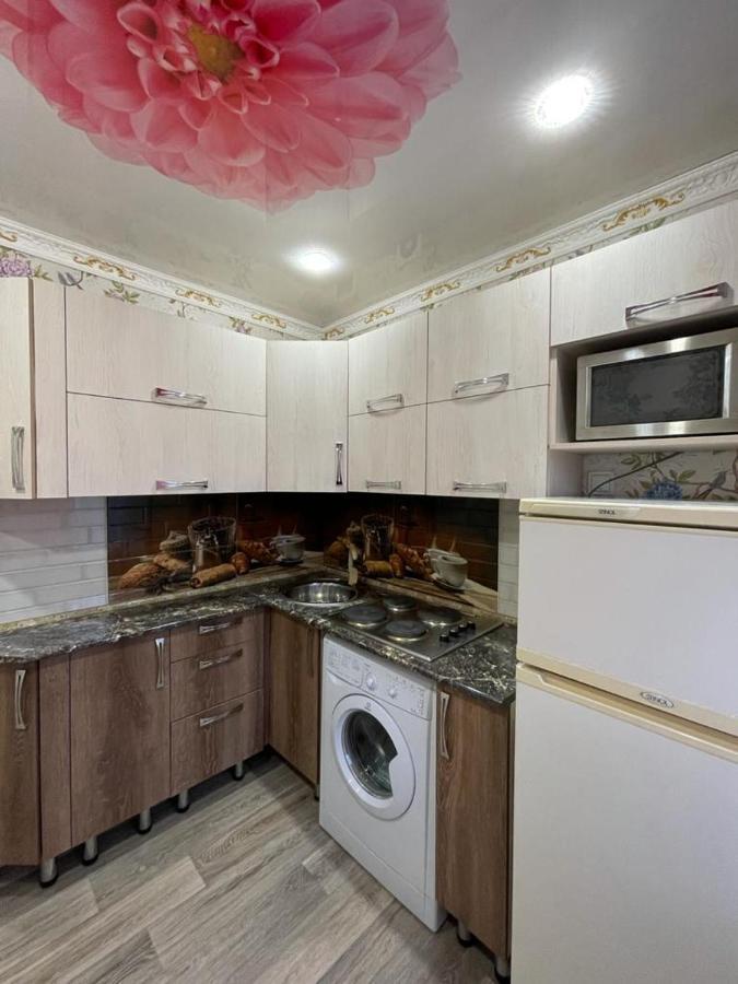 Лермонтова 91 Apartment Pavlodar Bagian luar foto
